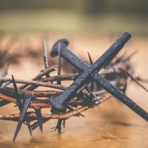 Meet your Posher, Sandie